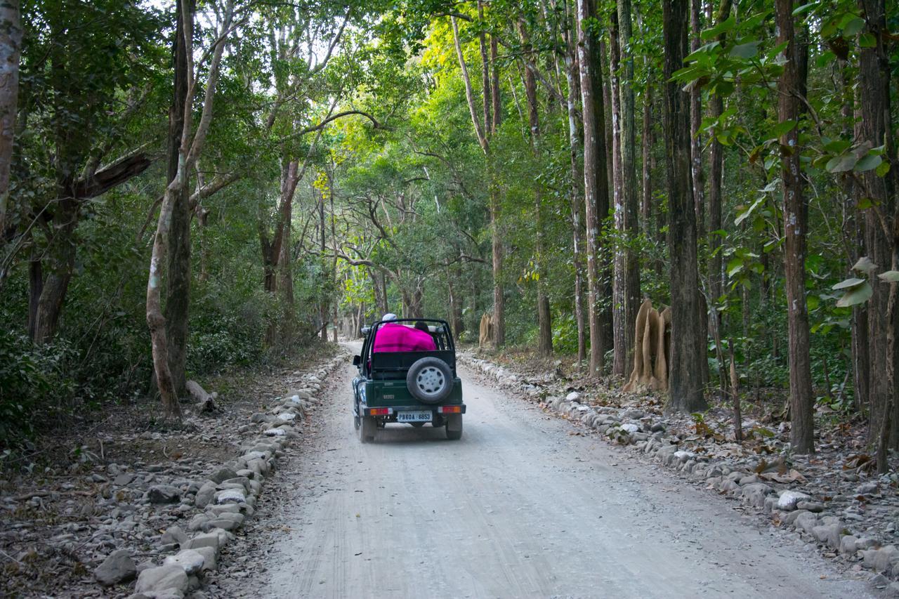Corbett The Baagh Spa & Resort Rāmnagar Extérieur photo